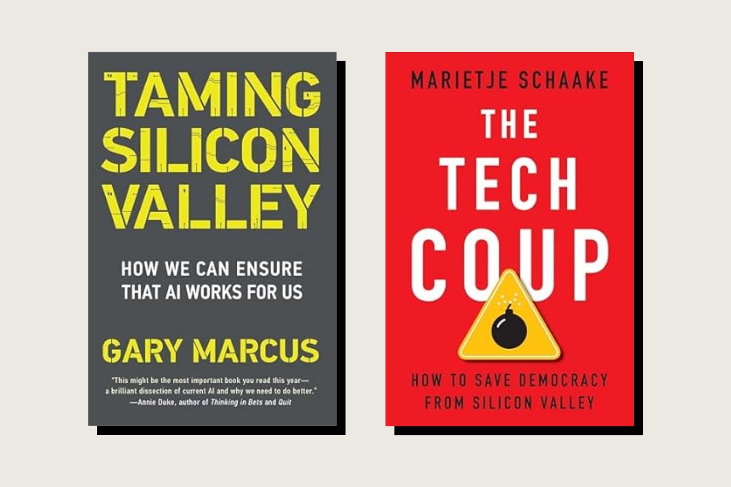 Taming Silicon Valley: How We Can Make AI Do Us, Gary Marcus, The MIT Press, 240 pp., .95, September 2024; The Tech Coup: How to Save Democracy from Silicon Valley, Marietje Schaake, Princeton University Press, 336 pp., .95, September 2024.