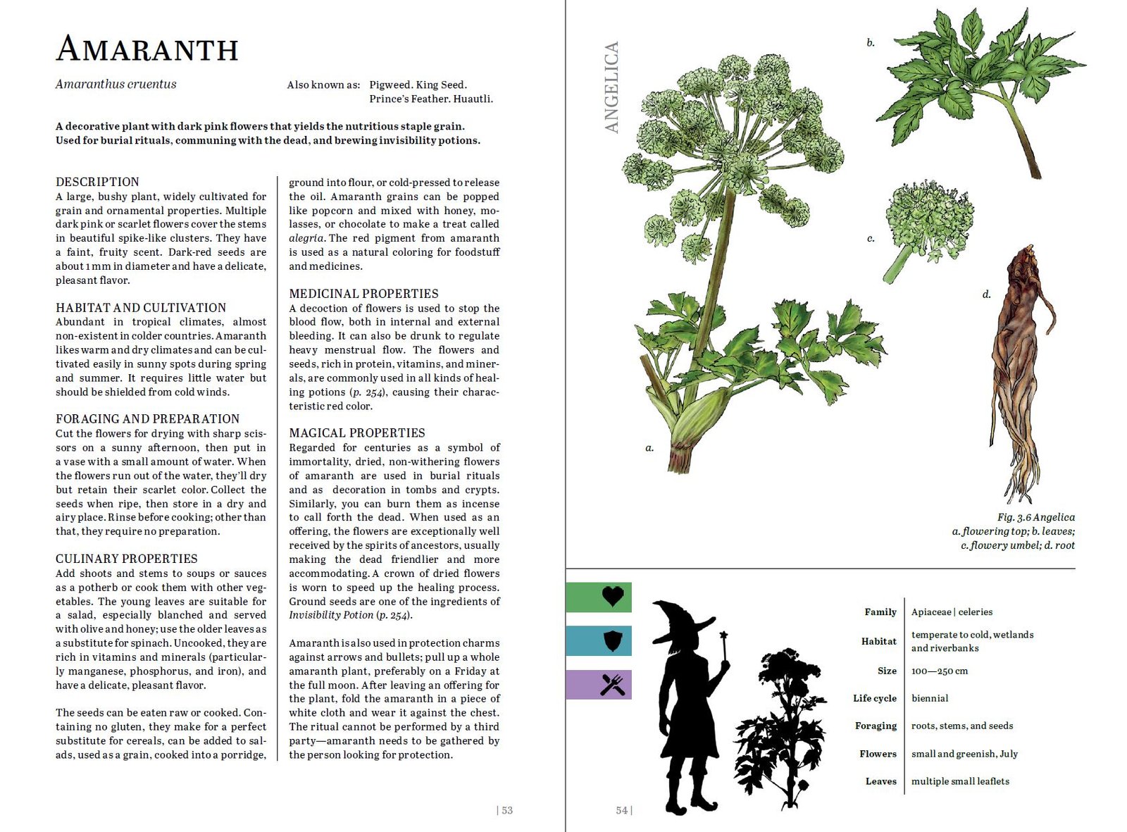 A two-page spread from the Herbalist's Primer details Amaranth, and includes a full-size scale image of the plant next to the witch for scale.